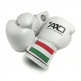 AAO Legacy Boxing Gloves | Hungary