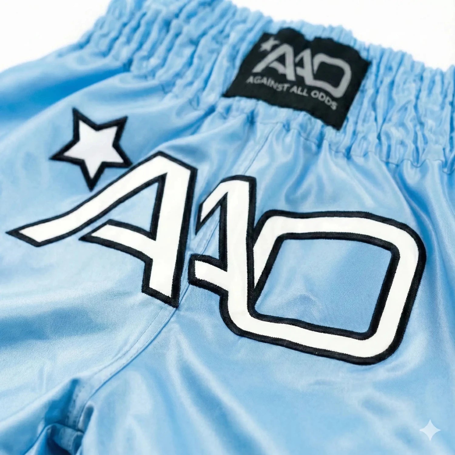 AAO Muay Thai Shorts "Legacy" - Niederlande - Aao-Fighting
